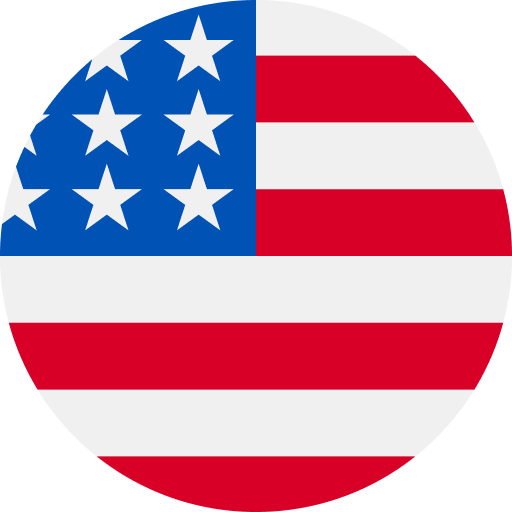 Washington DC Flag